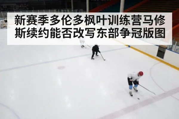 新赛季多伦多枫叶训练营马修斯续约能否改写东部争冠版图 | kaiyun