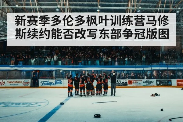ice hockey arena crowd